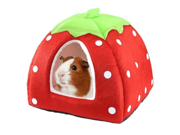 Small Animal Beds Thumbnail