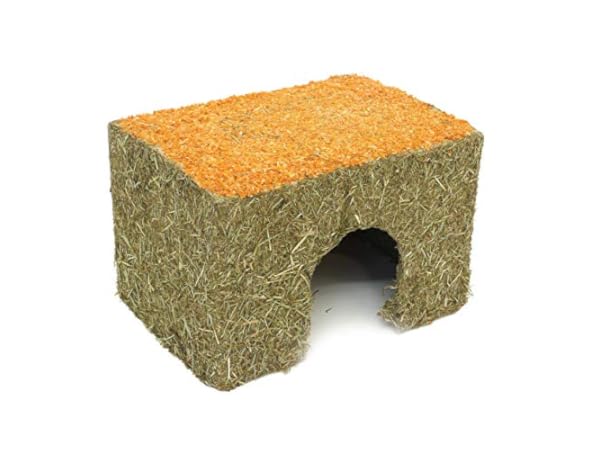 Small Animal Habitat Décor Thumbnail