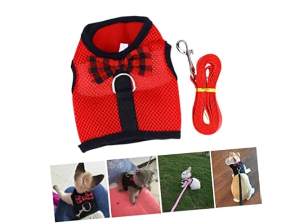 Small Animal Leads Thumbnail