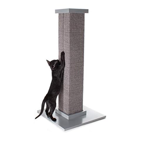 SmartCat feature image