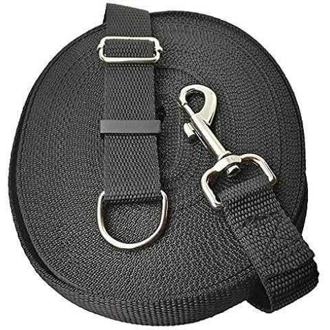 Smarter Paws feature image