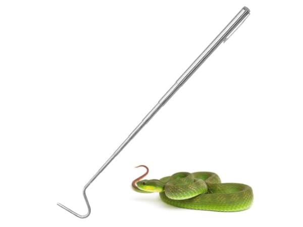 Snake Handling Hooks thumbnail