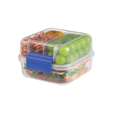 SnapLock By Progressive feature image