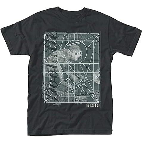 SONGLONG feature image