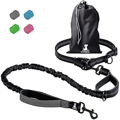 SparklyPets feature image