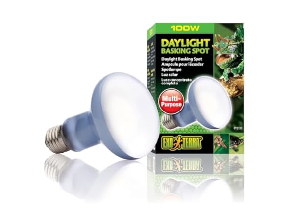 Spotlights for Terrariums Thumbnail