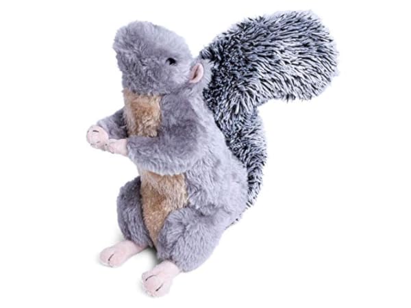 Squeak Toys for Dogs Thumbnail