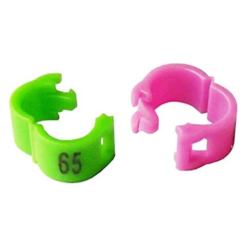 SRRPS PIGEON feature image