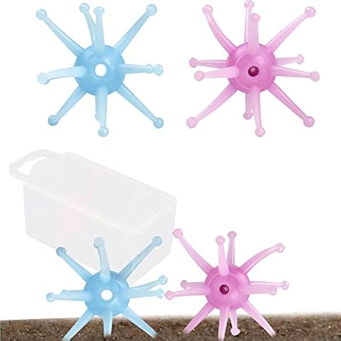 Steadybombb feature image