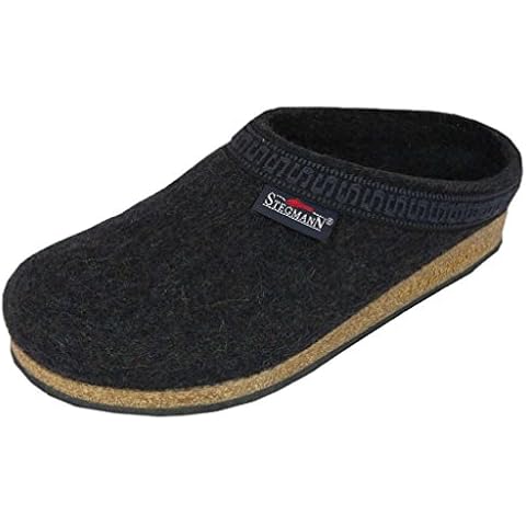 Stegmann feature image