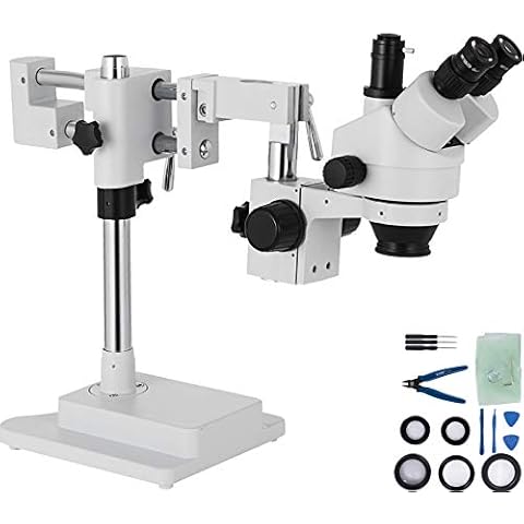 Stereo Microscopes