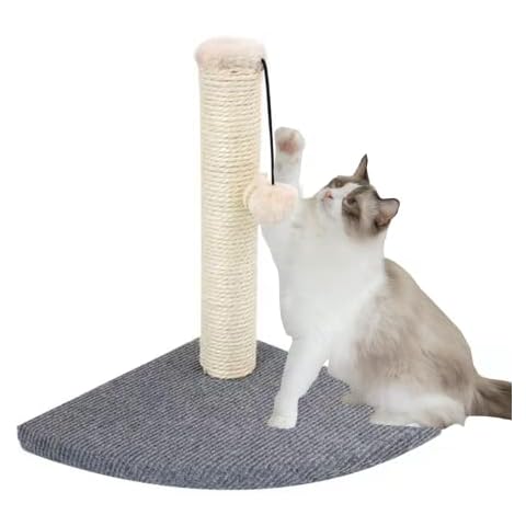 SUAOEO feature image