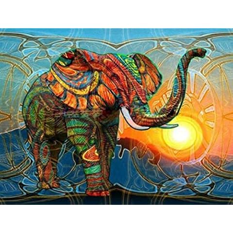 Sun Cling feature image