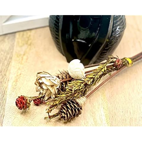 Sunsum feature image