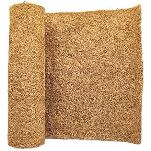 SUNYAY feature image