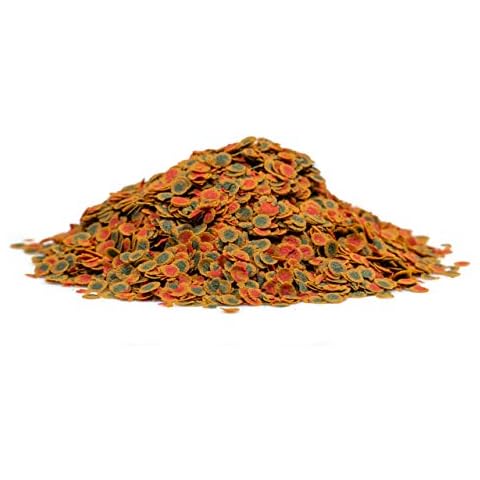 SUPER AQUARIUM feature image