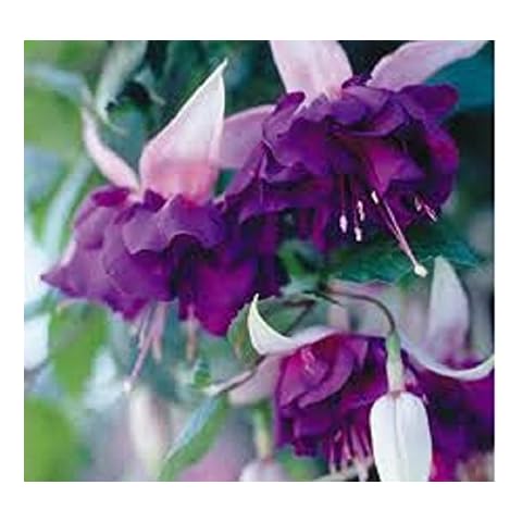 Swanley Village Nursery feature image