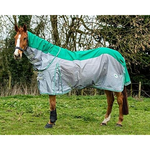 Swish Equestrian feature image