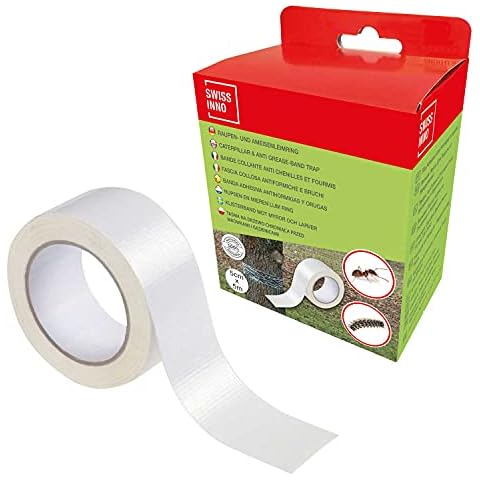 SWISSINNO feature image