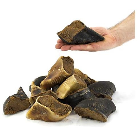 T Forrest & Sons feature image