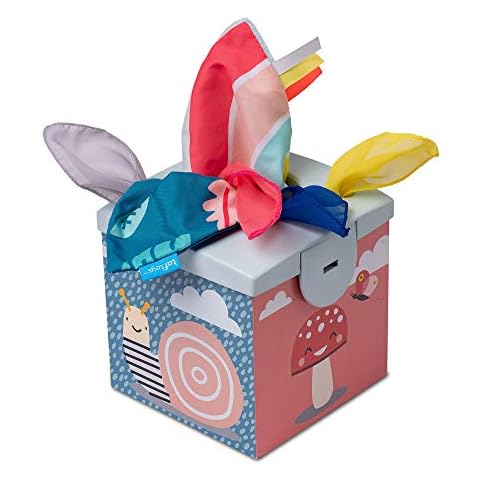 Taf Toys feature image