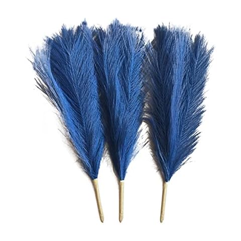 TAFRRYYG feature image