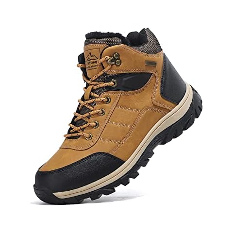 TARELO SINCE 1986 feature image