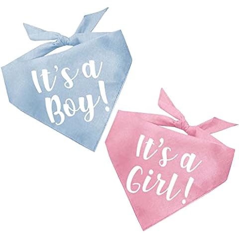 Tees & Tails feature image