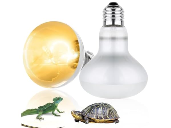 Terrarium Heat Lamps Thumbnail