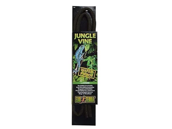 Terrarium Vines Thumbnail
