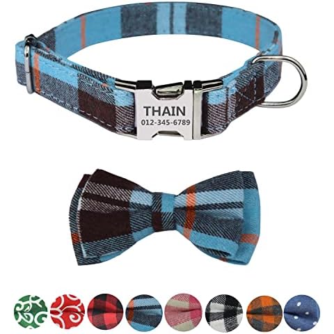 THAIN feature image