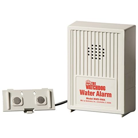 THE BASEMENT WATCHDOG feature image