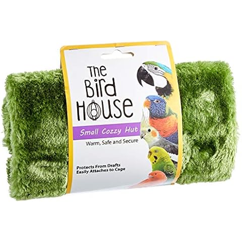 The Bird House thumbnail