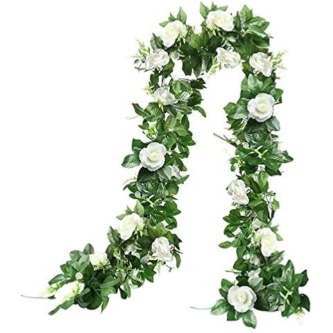 THE BLOOM TIMES feature image
