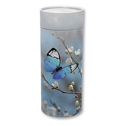 The Coffin Company feature image