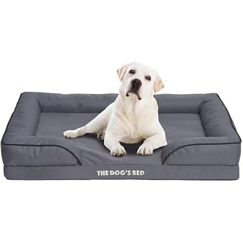 The Dog's Balls Dog Beds
