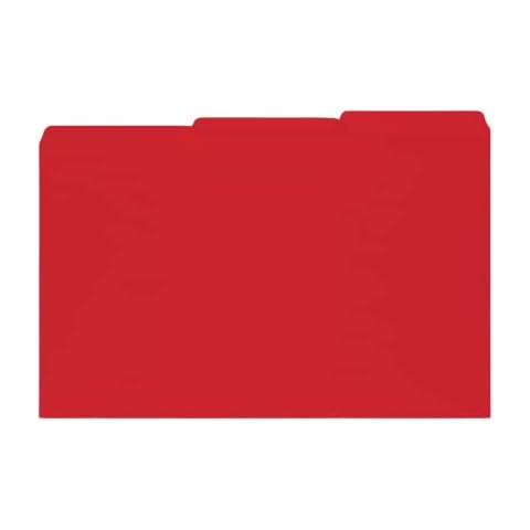 The File King feature image