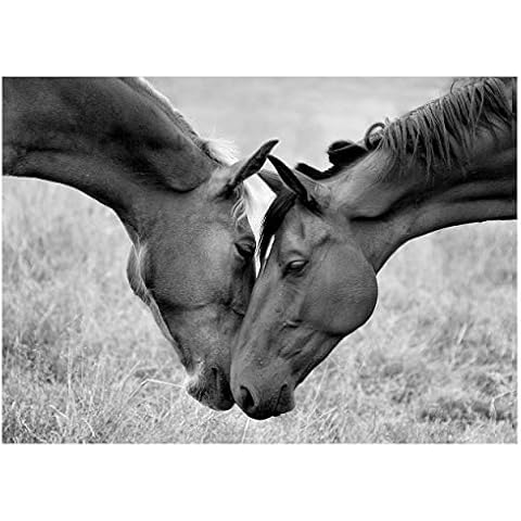 The Horse Card Shop thumbnail