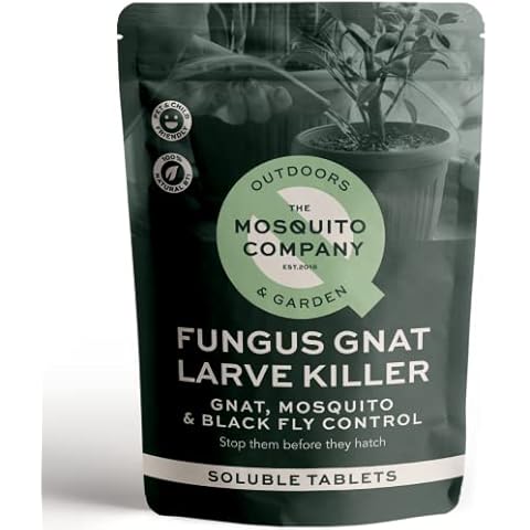 The Mosquito Company feature image