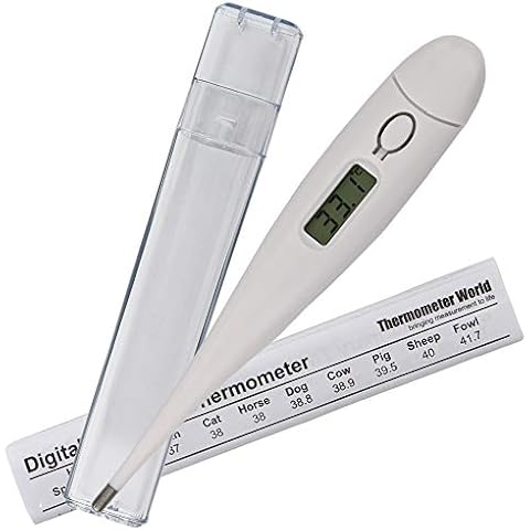 Thermometer World thumbnail