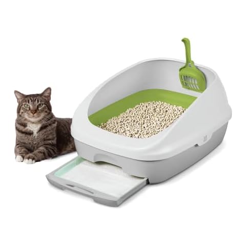 Tidy Cats feature image