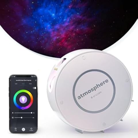 Timer Projectors