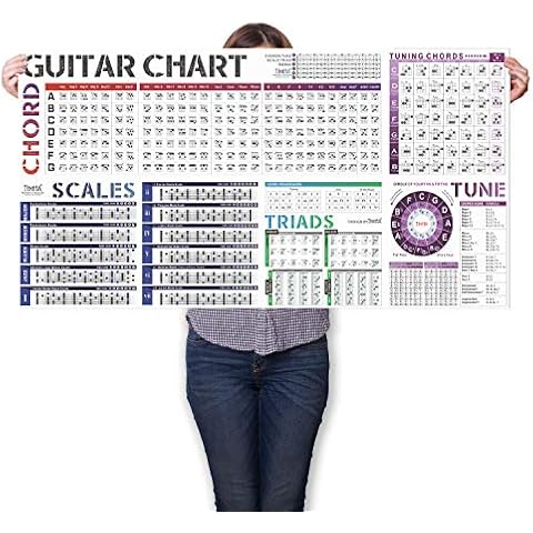 TiMitA feature image