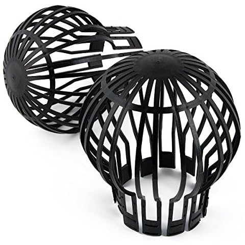 Timtina feature image