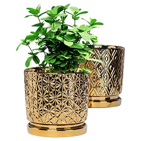 Ton Sin feature image