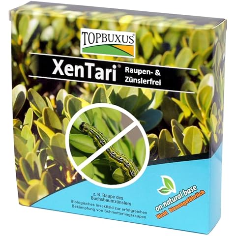 TOPBUXUS thumbnail