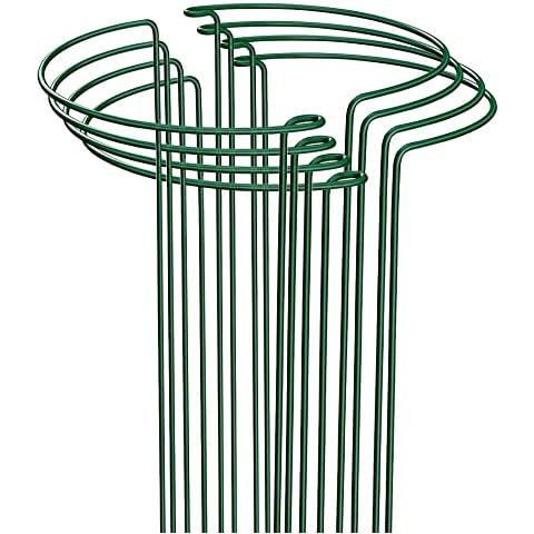 TOYPOPOR feature image