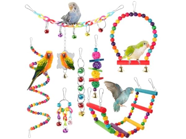 Toys for Birds Thumbnail