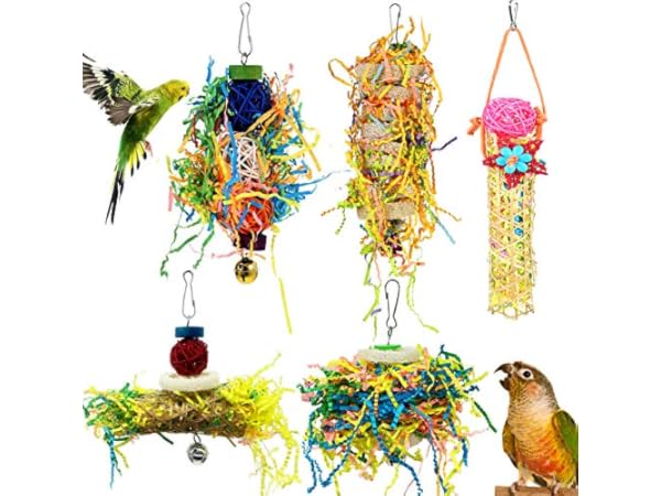 Toys for Birds Thumbnail