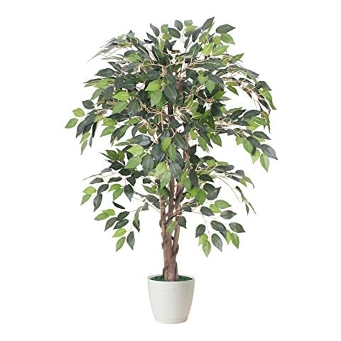 Tradala Artificial Trees feature image